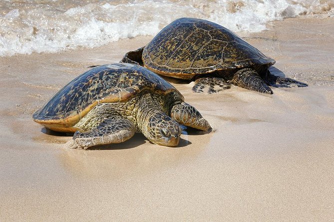Oahu Island Photography Tour - Sacred heiaus and Oahu’s cultural setting