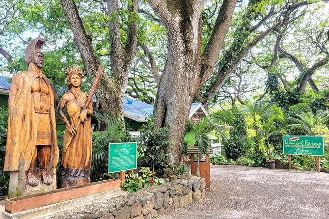 Oahu Island Sightseeing and Food Combo Tour - Five things to know before booking