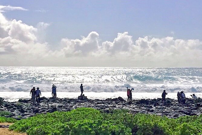 Oahu Island Sightseeing and Food Combo Tour - Dole Plantation and the final coffee stop