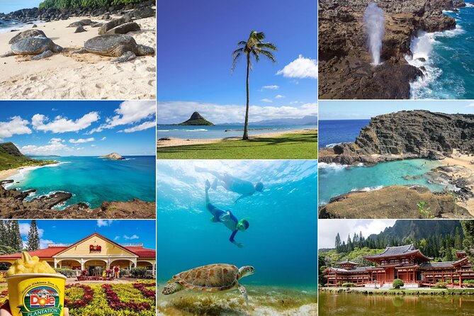 Oahu Island Tour: 13 ppl Max, Snorkel at Turtle Beach + Lunch - Why this Oahu tour works as a first-day overview