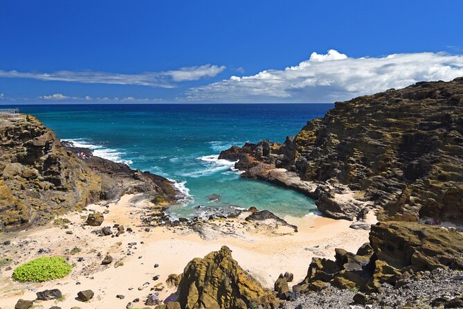 Oahu Island Tour: 13 ppl Max, Snorkel at Turtle Beach + Lunch - Macadamia nuts, Turtle Bay, and the North Shore