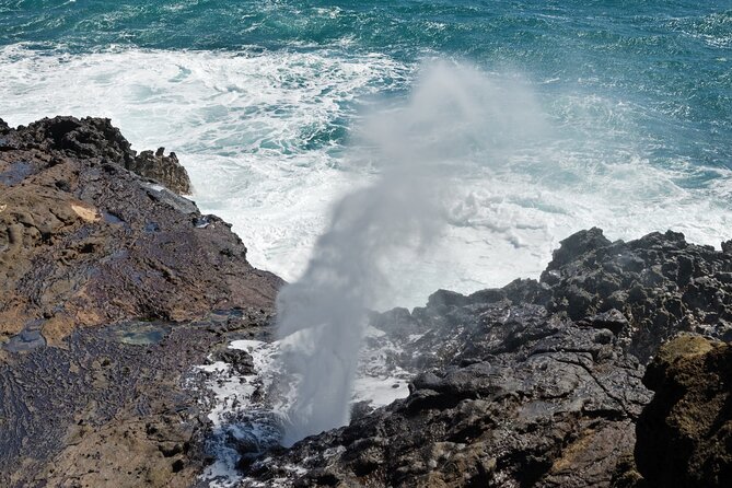 Oahu Island Tour: 13 ppl Max, Snorkel at Turtle Beach + Lunch - Booking advice, timing, and the cancellation rule