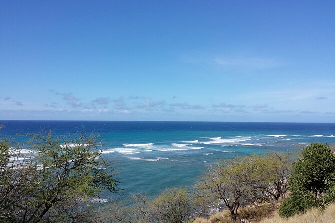 Oahu Island Tour: 13 ppl Max, Snorkel at Turtle Beach + Lunch - Kualoa Regional Park and Mokoli‘i Island views