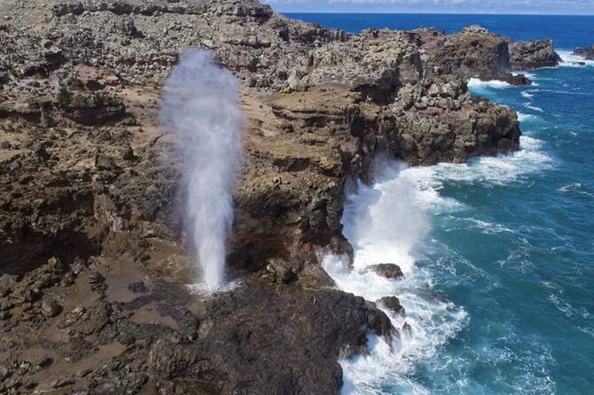 Oahu Island Tour, Dole plantation ,Northshore,VIP,PRIVATE - Byodo-in Temple and Hoomaluhia Botanical Garden