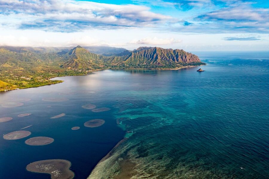Oahu: Kaneohe Bay Coral Reef Kayaking Rental - The 20-minute drive to the harbor