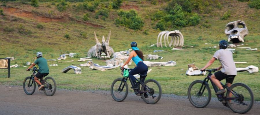 Oahu: Kualoa Electric Bike Tour - The Safety Briefing Sets the Tone