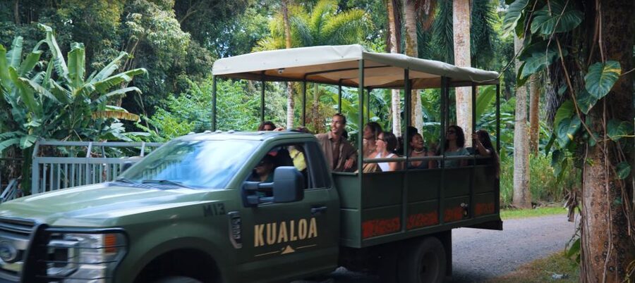 Oahu: Kualoa Jurassic Movie Set Adventure Tour - Should you book the Kualoa Jurassic Movie Set Adventure?