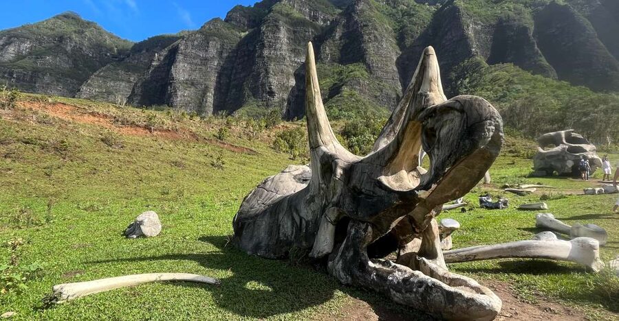 Oahu: Kualoa Movie Sites, Jungle, and Buffet Tour Package - The Hakipuu rainforest and the Jungle Expedition