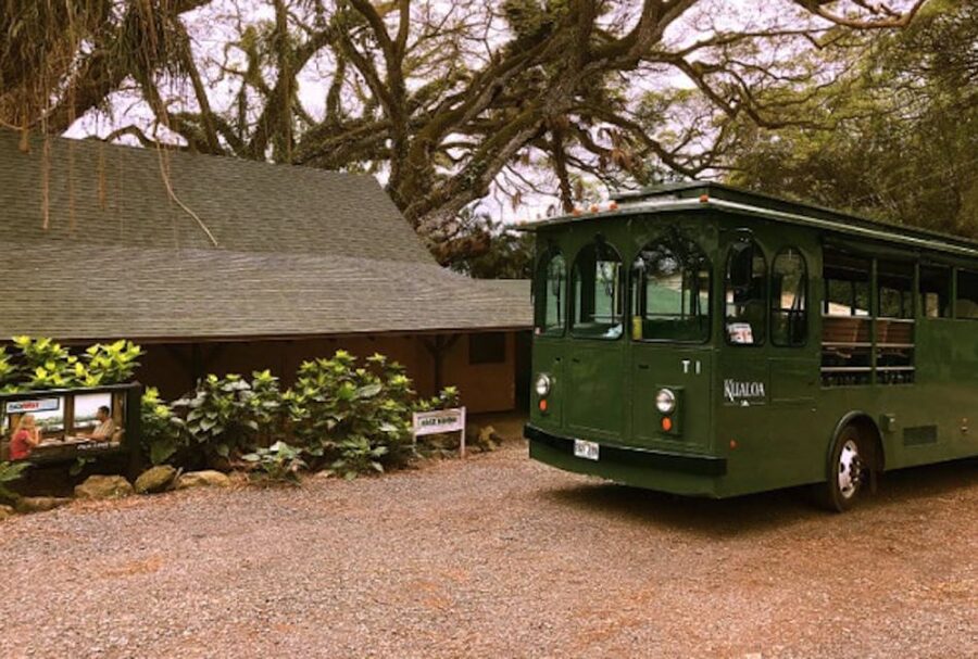 Oahu: Kualoa Movie Sites, Jungle, and Buffet Tour Package - The buffet lunch and what it adds to the value