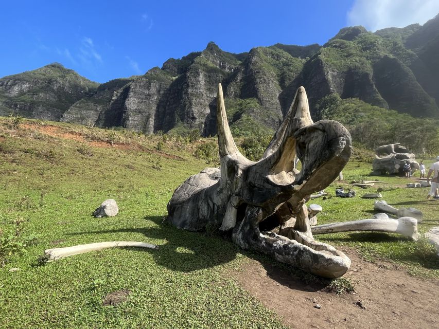 Oahu: Kualoa Movie Sites, Jungle, and Buffet Tour Package - The Movie Sites Tour through Kaaawa Valley