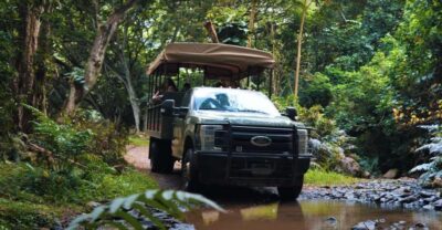 Kualoa Open Air Jungle Expedition Tour
