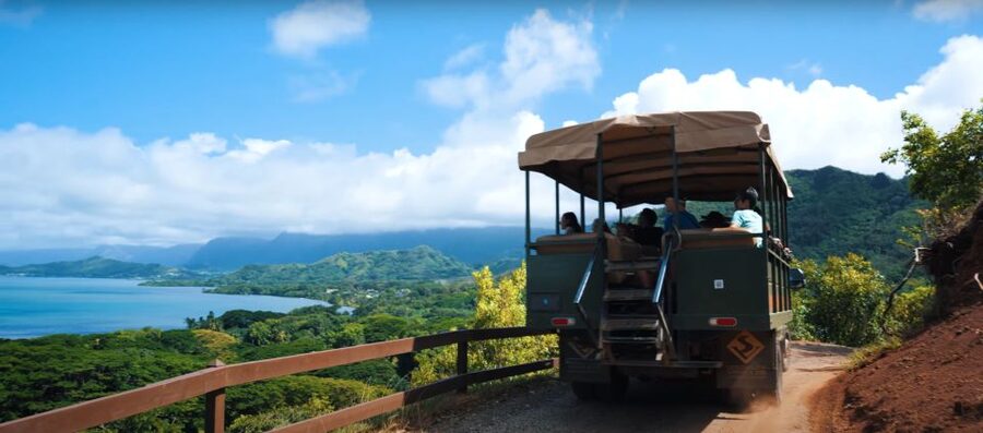 Oahu: Kualoa Open Air Jungle Expedition Tour - Who should book this tour