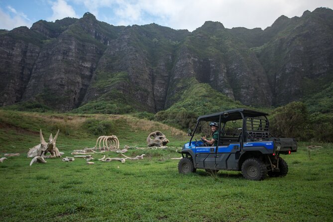 Oahu: Kualoa Ranch UTV Raptor Tour - Is the UTV easy for families?