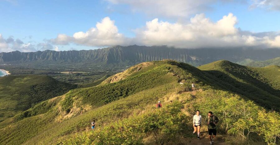 Oahu: Manoa Falls Hike and east side beach day - Why this tour works as a full Oahu day
