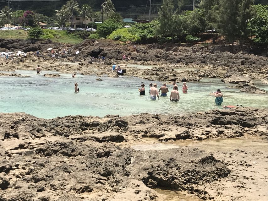 Oahu: Manoa Falls Hike and east side beach day - The southeast coast, one lookout at a time