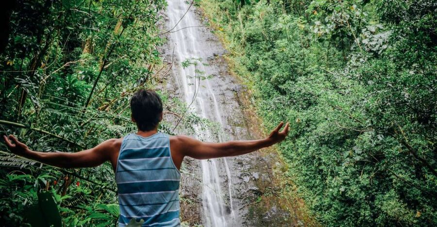 Oahu: Manoa Falls Waterfall Hike with Lunch and Transfers - Key points to know before you book