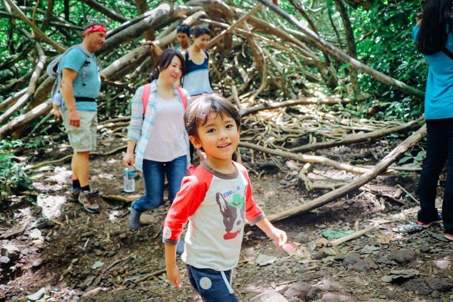 Oahu: Manoa Falls Waterfall Hike with Lunch and Transfers - Should you book the Manoa Falls and Tantalus tour?