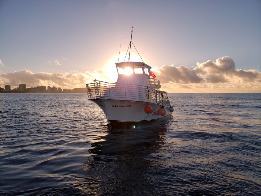 Oahu Night Dive: Adventure for Certified Divers - Key points to know before booking