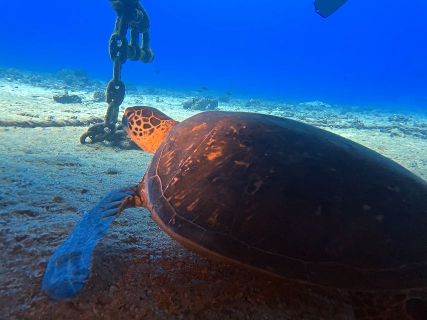 Oahu Night Dive: Adventure for Certified Divers - The boat ride and included equipment