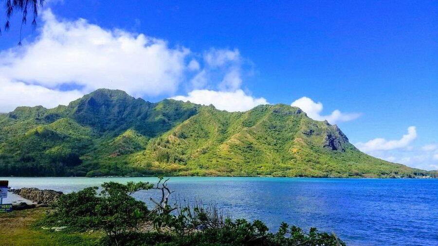 Oahu: North Shore Circle Island Small-Group Tour - What the $111 price includes, and what it does not