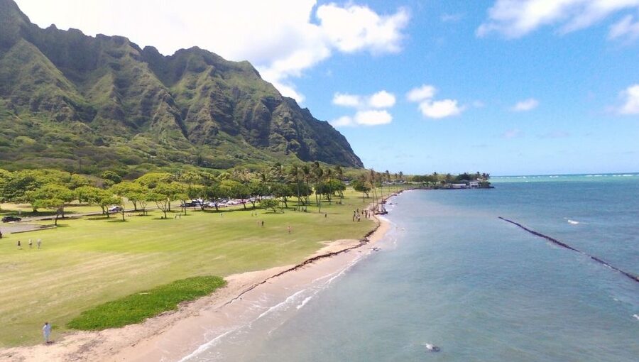 Oahu: North Shore Circle Island Small-Group Tour - Kahuku food trucks and the best meal stop