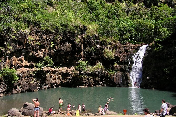 Oahu North Shore Experience: Activities, Waterfall & Free Time - Coffee and macadamia nuts at Tropical Farms