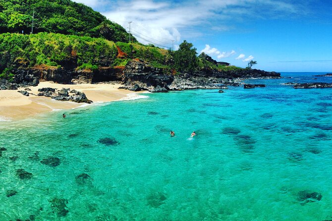 Oahu North Shore Experience: Activities, Waterfall & Free Time - Haleiwa: food, art, and time off the bus