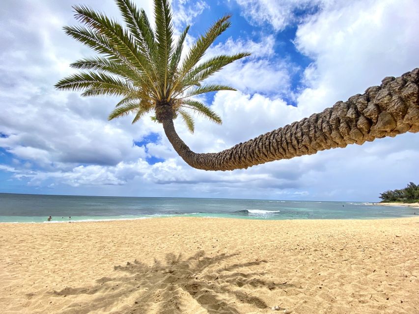 Oahu: North Shore Experience and Dole Plantation - Key details before you book