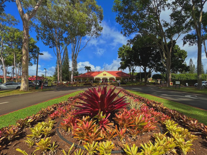 Oahu: North Shore Experience and Dole Plantation - Tropical Farms: macadamia nuts with a shopping catch