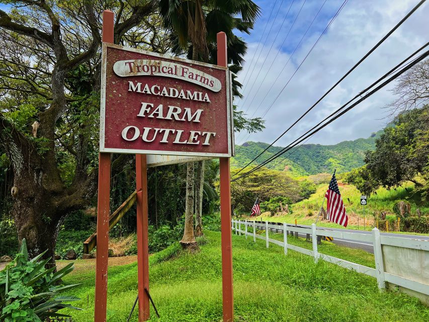 Oahu: North Shore Experience and Dole Plantation - Dole Plantation: a pineapple stop, not a full tour