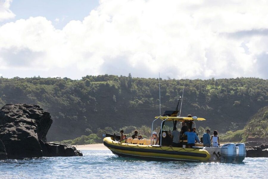 Oahu: North Shore Haleʻiwa: Private Boat Charter - Key points to know