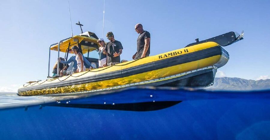 Oahu: North Shore Haleʻiwa: Private Boat Charter - What is included and what you should arrange