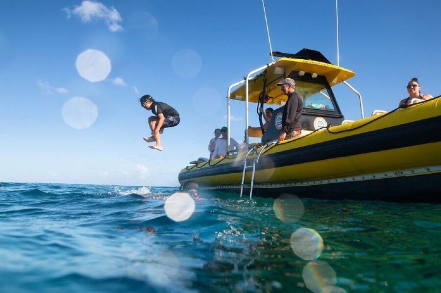 Oahu: North Shore Haleʻiwa: Private Boat Charter - The honest wildlife outlook