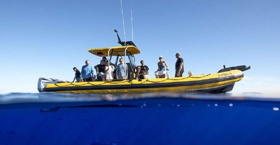 Oahu: North Shore Marine Life Tour from Haleiwa - Key points to know before booking