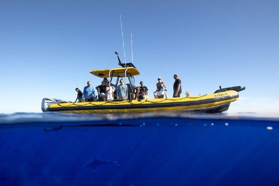 Oahu: North Shore Marine Life Tour from Haleiwa - Setting out from Haleiwa Harbor
