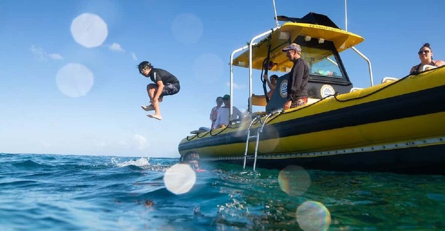 Oahu: North Shore Snorkeling Tour from Haleiwa - Timing, gear, and simple preparation