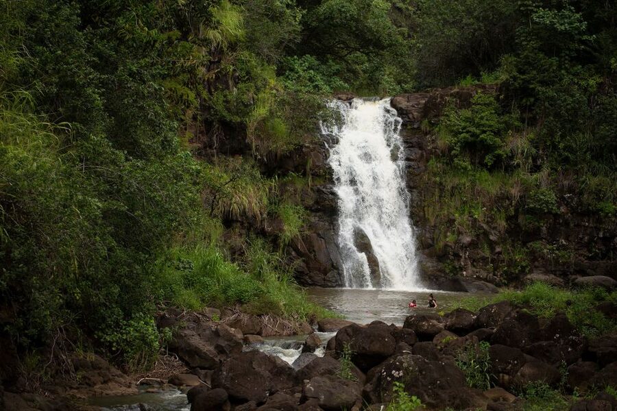 Oahu: North Shore Waterfall Swim - Swimming below the 30-foot Waimea Falls