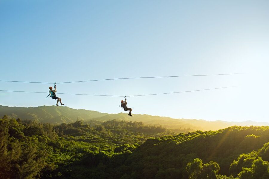 Oahu: North Shore Zip Line Adventure with ATV and Farm Tour - Eight lines, with room to ride beside someone