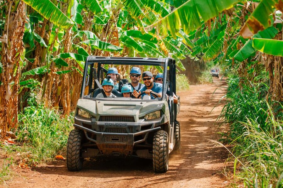 Oahu: North Shore Zip Line Adventure with ATV and Farm Tour - Pickup and the practical timing