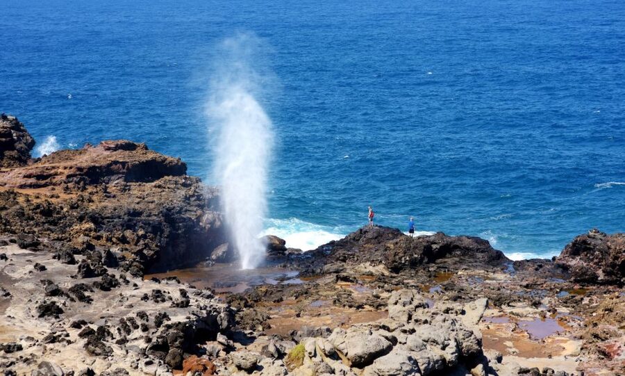 Oahu: Oahu Ultimate Grand Circle Island Tour - The quick take