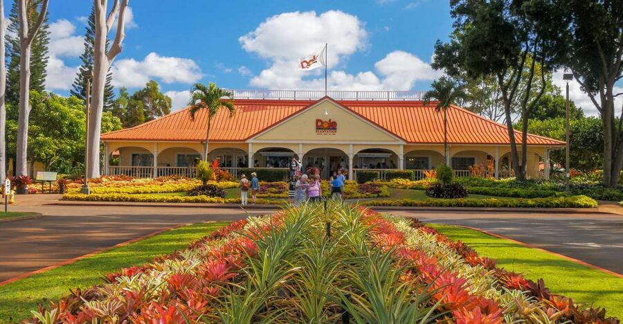 Oahu: Oahu Ultimate Grand Circle Island Tour - Why this one-day Oahu tour works