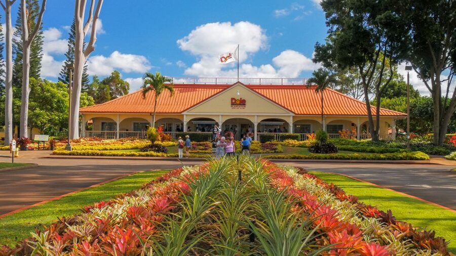 Oahu: Oahu Ultimate Grand Circle Island Tour - Diamond Head and the southeastern coast