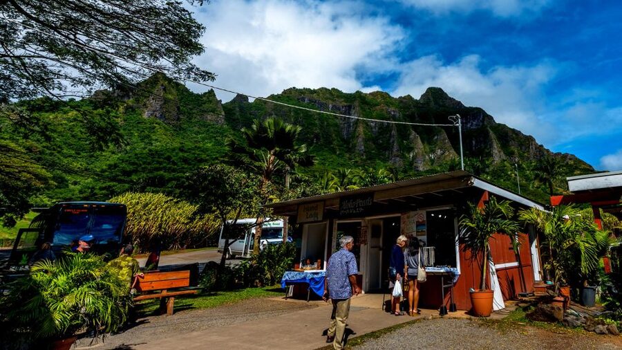 Oahu: Oahu Ultimate Grand Circle Island Tour - Shrimp, fruit, and macadamia nuts