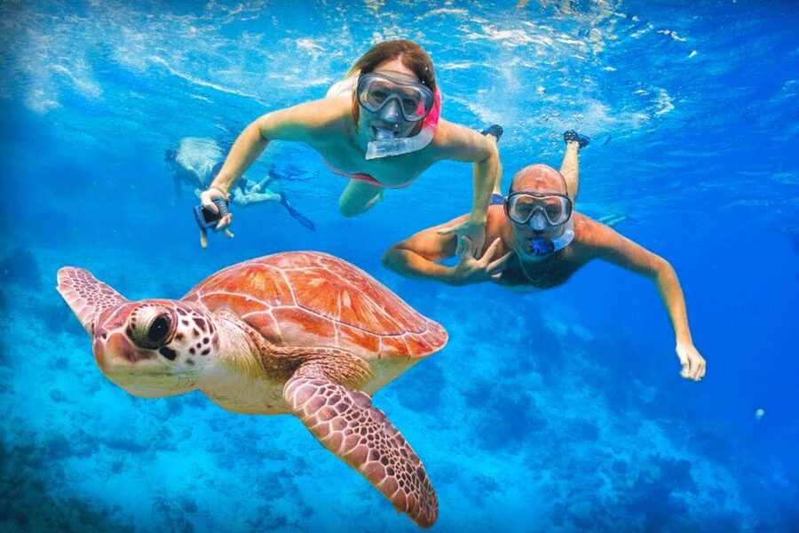 Oahu: Oahu Ultimate Grand Circle Island Tour - Dole Plantation in limited time