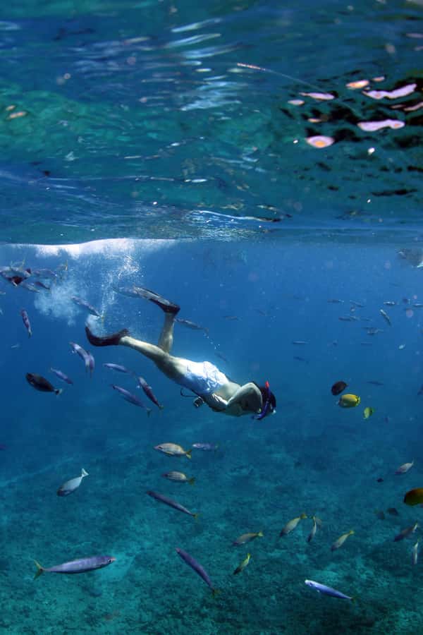 Oahu: Off road Stand-Up ATV and Sunset Snorkel Cruise - Starting at Coral Crater with the EzRaider