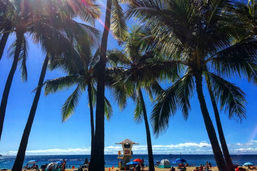 Oahu: Pearl Harbor and Honolulu City Tour - What you can realistically see at Pearl Harbor