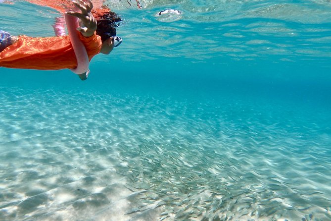 Oahu Personalized Private North Shore Highlight Custom Tour - Waikele shopping and the Aloha Stadium marketplace