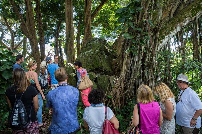 Oahu Personalized Private Tour - Dole Plantation and the Pineapple Finish