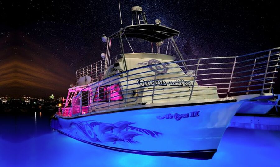 Oahu: Premium Waikiki Sunset Party Cruise with Live DJ - Key points to know before booking