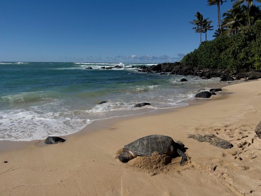 Oahu: Private Best of Oahu Sightseeing Tour - A private road trip instead of a fixed island checklist